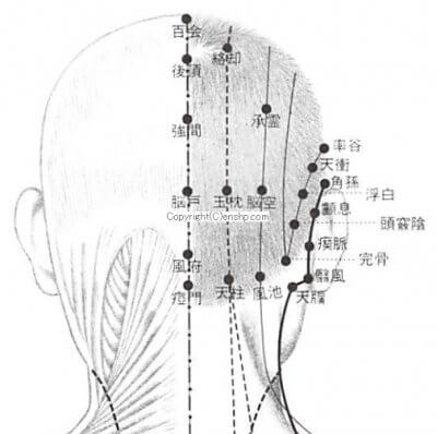 風池・天柱で首こりスッキリ
