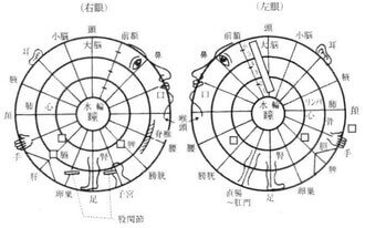 16眼診図