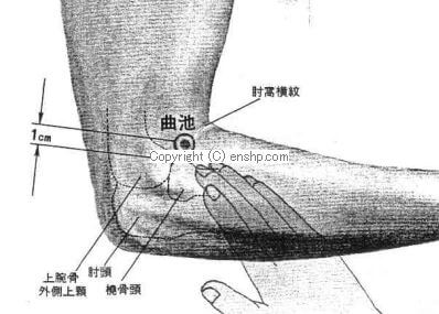 曲池穴