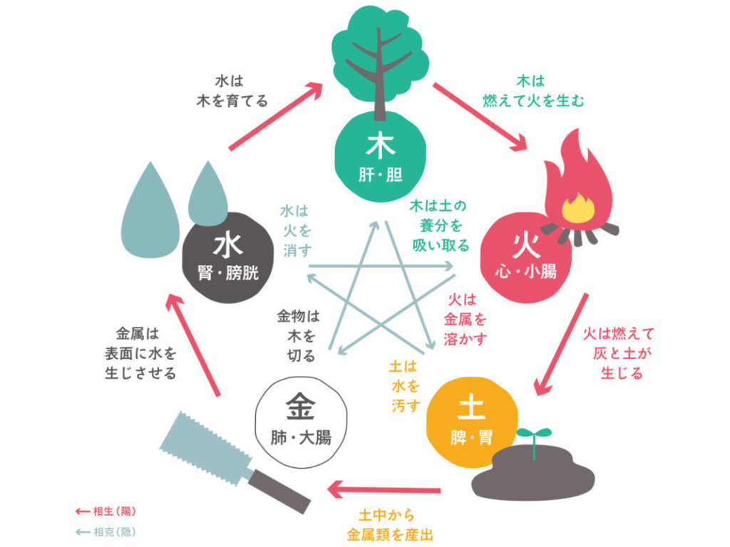 東洋医学五行論