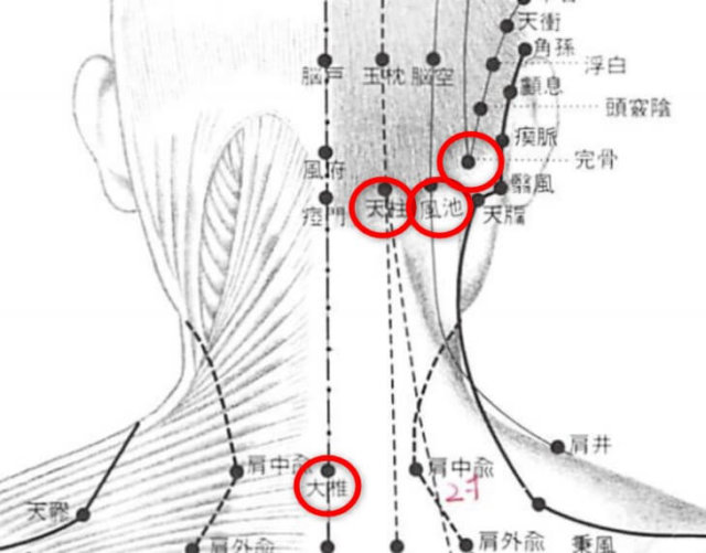 風池、完骨、天柱、大椎