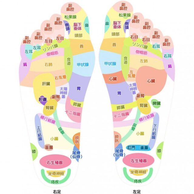 足ツボの図